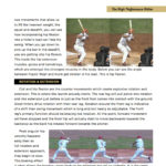 HiPro Hitting - "The High Performance Hitter" eBook